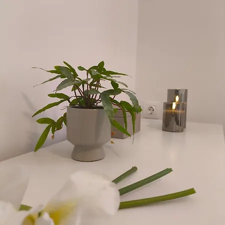 Stone Deluxe Lefkada