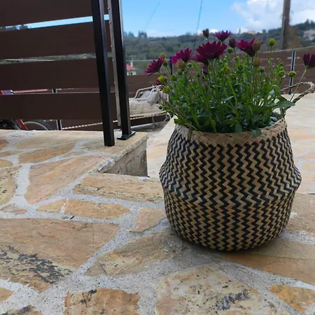 Stone Deluxe Lefkada Semesterbostad Lazaráta